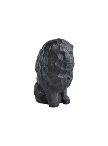 Lion of Judah coal